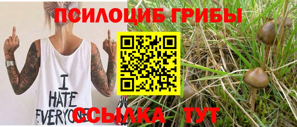 Сатка  Псилоцибиновые грибы Cubensis  Псилоцибиновые грибы Magic Shrooms  Вход с VPN 